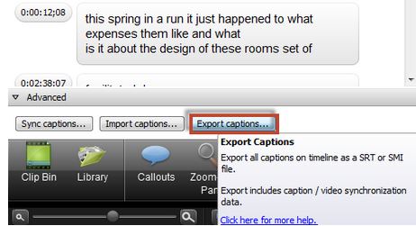 Screenshot of the Camtasia Caption Creator with the Export captions button selected