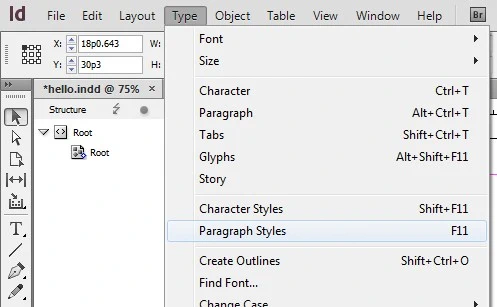Type drop down menu. Paragraph Styles, halfway down this menu, is currently highlighted.