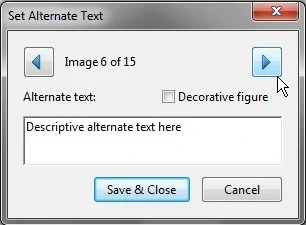 Set Alternate Text dialog box. Alternate text is entered into the field