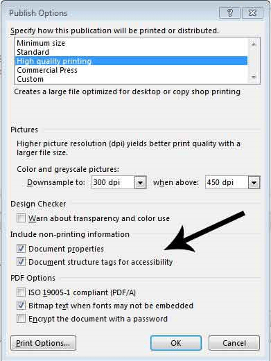 Document structure tags for accessibility checkbox in publish options prompt window
